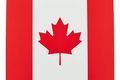 flag image