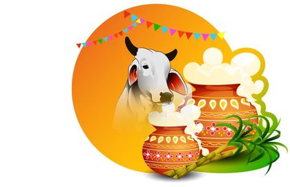 How to celebrate Pongal as an international student?