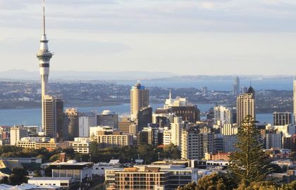The top MBA Colleges in New Zealand that will skyrocket your career