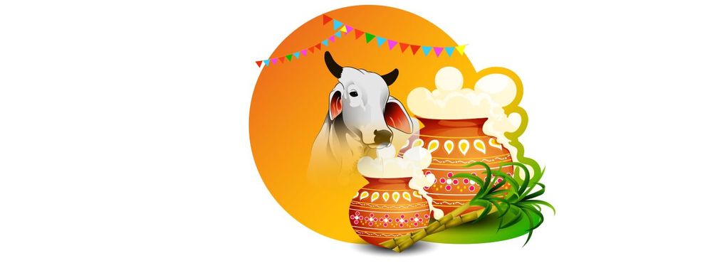 How to celebrate Pongal as an international student?